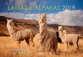 Lamas & Alpakas 2019