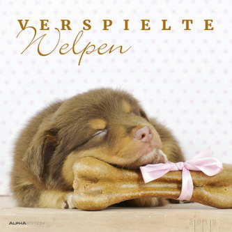 Verspielte Welpen 2019 Verspielte Welpen 2019