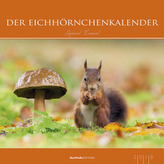 Der Eichhörnchenkalender 2019