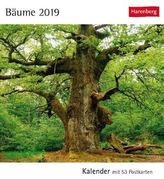 Bäume 2019