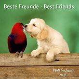 Beste Freunde / Best Friends 2019