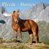 Pferde / Horses 2019
