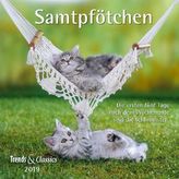 Samtpfötchen 2019