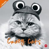 Crazy Cats Broschurkalender 2019