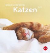 Tierisch entspannte Katzen 2019