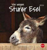 Von wegen sturer Esel Postkartenkalender 2019