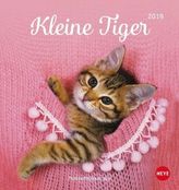 Kleine Tiger, Postkartenkalender 2019