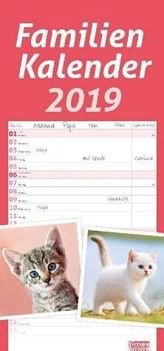 Familienkalender Katzen 2019