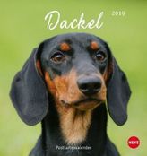 Dackel Postkartenkalender 2019