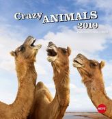 Crazy Animals Postkartenkalender 2019