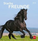 Starke Freunde (Pferde) Postkartenkalender 2019