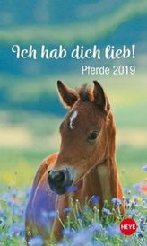 Ich hab dich lieb! Pferde 2019