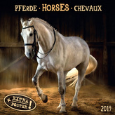 Pferde / Horses / Chevaux 2019
