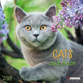 Cats Outdoors 2019