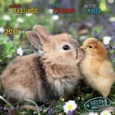 Kleine Freunde / Little Friends / Petits Amis 2019