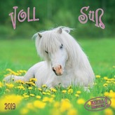 Voll süß 2019