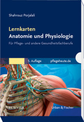 Lernkarten Anatomie und Physiologie