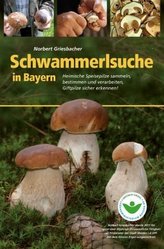 Schwammerlsuche in Bayern