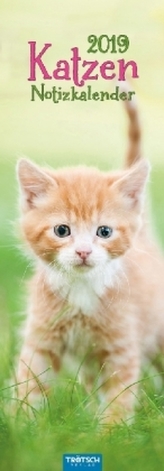 Katzen Notizkalender 2019