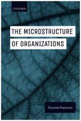 The Microstructure of Organizations