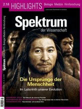 Spektrum Highlights - Die Ursprünge der Menschheit