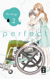 Perfect World. Bd.2