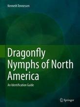 Dragonfly Nymphs of North America