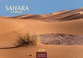 Sahara 2019