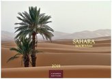 Sahara 2019