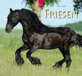 Friesen 2019