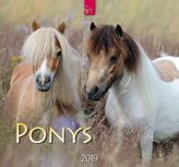 Ponys 2019