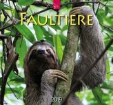 Faultiere 2019