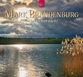 Mark Brandenburg 2019