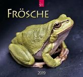 Frösche 2019