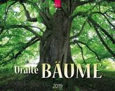 Uralte Bäume 2019