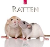 Ratten 2019