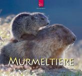 Murmeltiere 2019