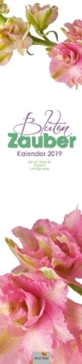 Blütenzauber 2019