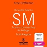 Die ersten Schritte SM - Erotische Unterwerfung für Anfänger Erotischer Hörbuch Ratgeber MP3CD, 1 Audio-CD, MP3 Format