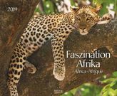 Faszination Afrika 2019