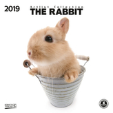 The Rabbit 2019