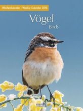 Vögel 2019