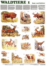 Waldtiere. Tl.1
