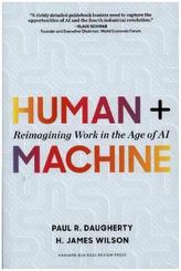 Human + Machine