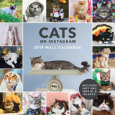 Cats on Instagram 2019