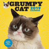 Grumpy Cat 2019