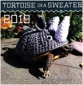 Tortoise in a Sweater 2019