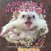 Adorable Hedgehogs Mini 2019