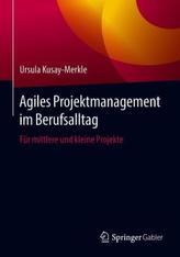 Agiles Projektmanagement im Berufsalltag