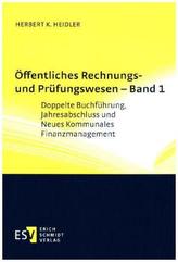 Öffentliches Rechnungs- und Prüfungswesen - Band 1